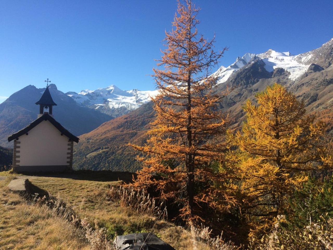 Bergfreude * Saas-Grund